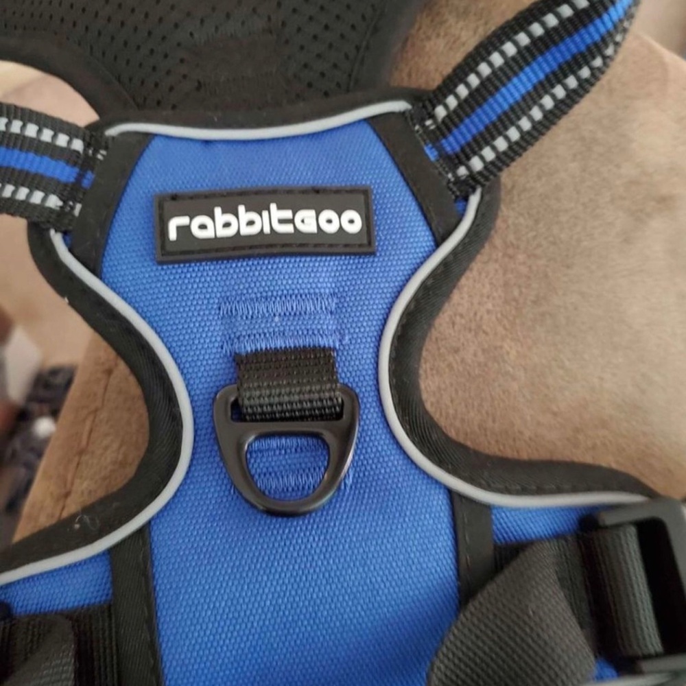 Rabbit goo